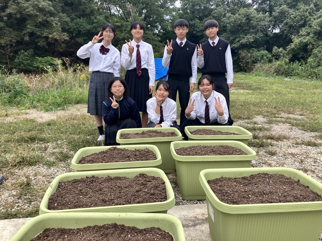 小麦の栽培・研究